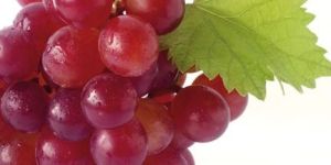 Fresh Red Grapes