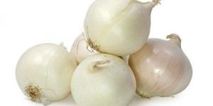 Fresh White Onion