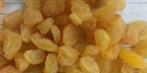 Golden Raisins