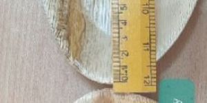 Areca Bowls 17 Cm Oval Tray