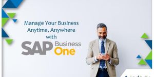 Sap Business One Partner