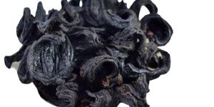 Dried Garcinia Cambogia