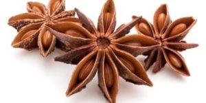 Star Anise