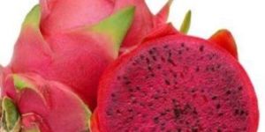 Red Dragon Fruit