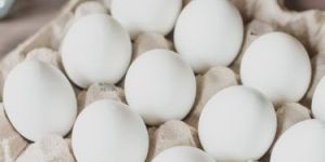 White Eggs