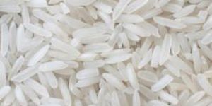 Gujarat 17 Rice