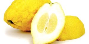 Fresh Citron Fruit