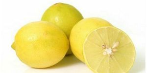 Fresh Lemon