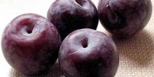Fresh Plum
