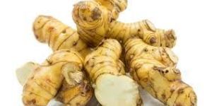 Lesser Galangal Root