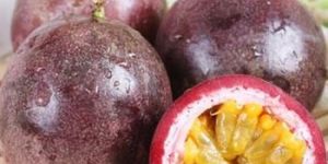 Passion Fruit