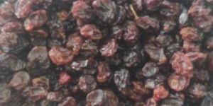 Kashmiri Blackberries