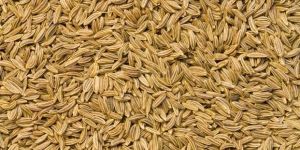 Cumin Seeds
