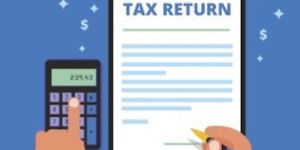 Income Tax Consultant