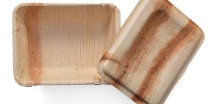 Areca Leaf Container