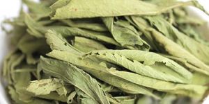 Stevia Dry Leaves