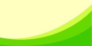 School Exercise Notebooks