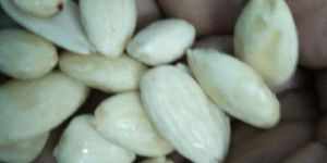 without Skin Almond