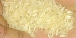 Basmati Rice