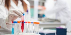 Medical Language Translation