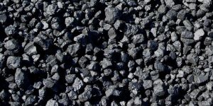 Petroleum Coke