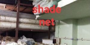 Shade Net