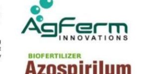 Agferm Azospirilim Biofertilizer
