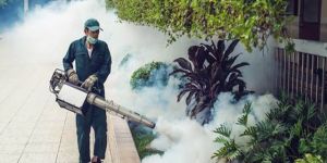 Fumigation Services