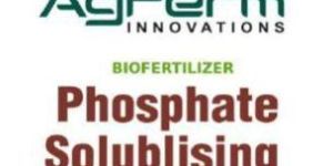 Phosphate Solubilizing Bacteria Biofertilizer