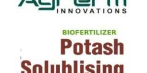 Potash Solubilizing Bacteria Biofertilizer