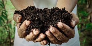 Vikasa Organic P 12% Organic Fertilizer