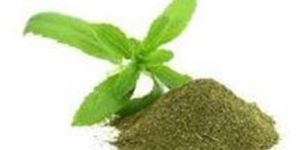 Stevia Powder