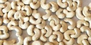 Cashew Kernel