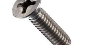SS Screws