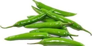 Fresh Green Chilli