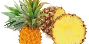 Fresh Pineapple