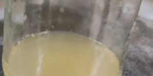 NPK Biofertilizer Consortium