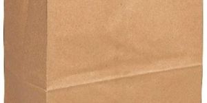 Green Bin Garbage Disposal Paper Bags