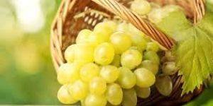 Fresh Green Grapes