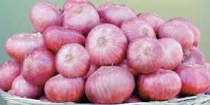 Fresh Onion