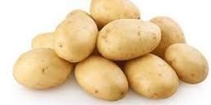 Fresh Potato