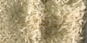 BPT Broken Rice