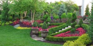 Commercial Landscaping Services