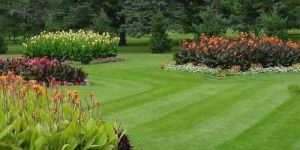 Garden Landscaping Services