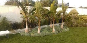 Resort Landscaping Services