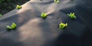 UV Resistant Non Woven Fabric