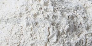 Dehydrated Onion Powder