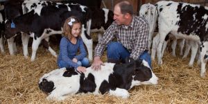 Veterinary Online Services