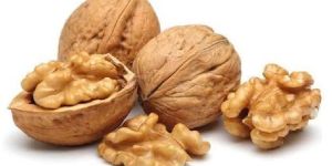 Soft Shelled Walnuts