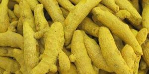Turmeric Finger
